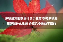 乡镇赶集能做点什么小生意 农村乡镇赶集好做什么生意 介绍几个收益不错的